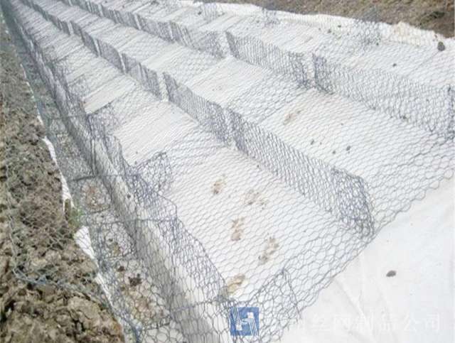 雷諾護(hù)墊--01