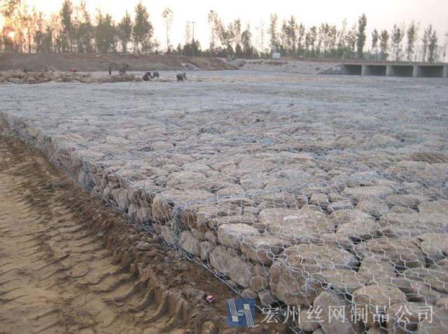 雷諾護(hù)墊--04