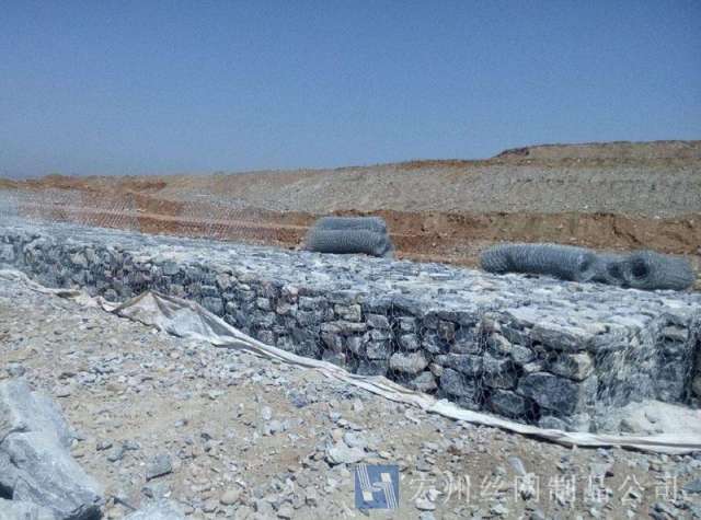 雷諾護(hù)墊--05