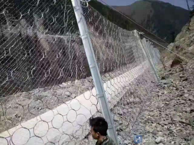 sns被動防護(hù)網(wǎng)--02