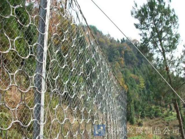 sns被動防護(hù)網(wǎng)--03