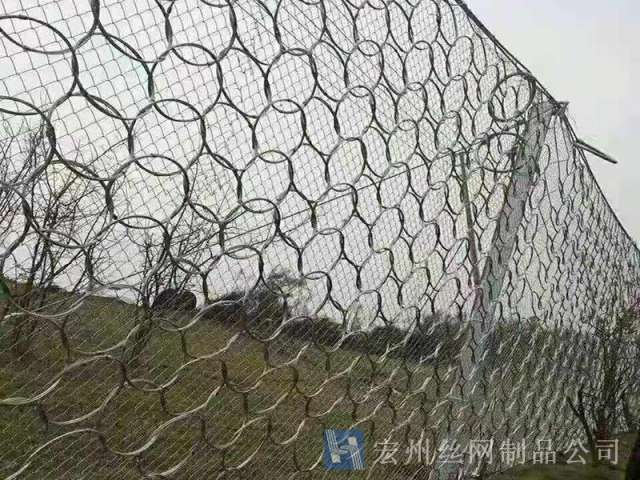 sns被動防護(hù)網(wǎng)--04