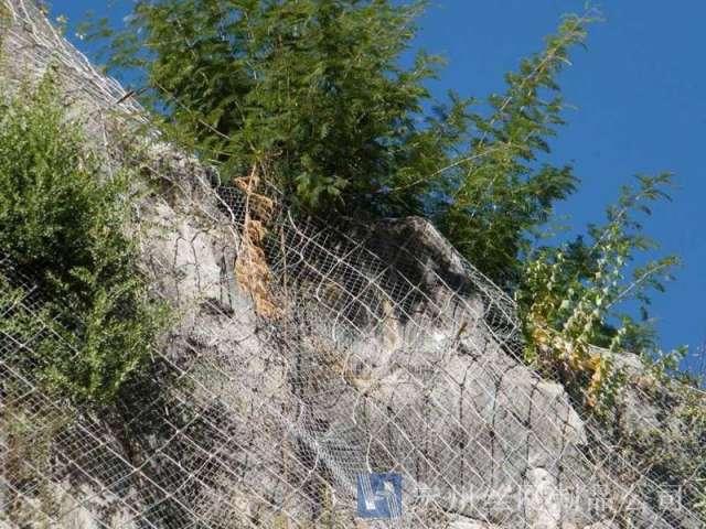 sns主動防護網--01