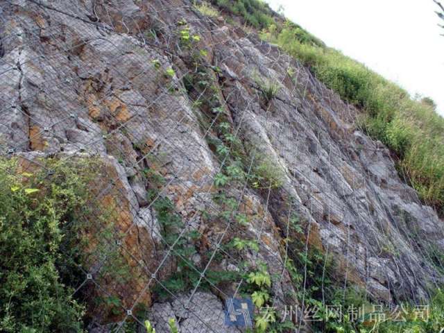 sns主動防護網--04